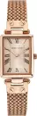 Наручные часы Anne Klein 3882RGRG icon