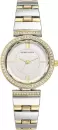 Наручные часы Anne Klein 3903SVTT icon