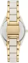 Наручные часы Anne Klein 3910WTGB icon 2