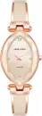 Наручные часы Anne Klein 4018BHRG icon