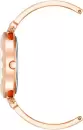 Наручные часы Anne Klein 4018BHRG icon 2