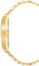 Наручные часы Anne Klein 4028CHSN icon 2