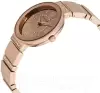 Наручные часы Anne Klein AK/2946RMRG icon 2