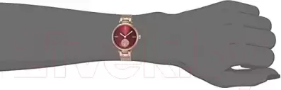Наручные часы Anne Klein AK/3000BYRG icon 2