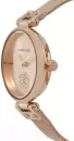 Наручные часы Anne Klein AK/3000RGRG icon 2