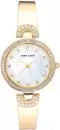 Наручные часы Anne Klein AK/3466GPST icon