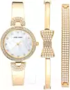 Наручные часы Anne Klein AK/3466GPST icon 2