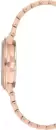 Наручные часы Anne Klein AK/3786RGRG icon 2