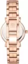 Наручные часы Anne Klein AK/4014WTRG icon 2