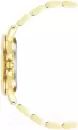 Наручные часы Anne Klein AK/4120WTGB icon 2