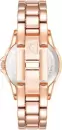 Наручные часы Anne Klein AK/4132BLRG icon 2