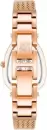 Наручные часы Anne Klein AK/5008PMRG icon 2
