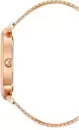 Наручные часы Anne Klein AK/5008PMRG icon 3