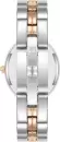 Наручные часы Anne Klein AK/5021SVRT icon 2