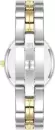 Наручные часы Anne Klein AK/5021SVTT icon 2