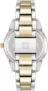 Наручные часы Anne Klein AK/5043SVTT icon 2