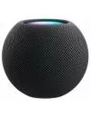 Умная колонка Apple HomePod Mini (серый космос) icon