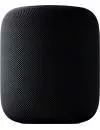 Умная колонка Apple HomePod Space Gray icon