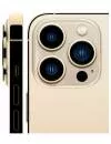 Смартфон Apple iPhone 13 Pro Max 256GB Восстановленный by Breezy, грейд A (золотистый) icon 2