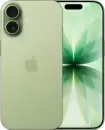 Смартфон Apple iPhone 17 256GB (зеленый) icon