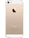 Смартфон Apple iPhone 5s 16Gb Gold  фото 2