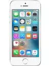 Смартфон Apple iPhone SE 16Gb Silver фото