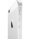 Смартфон Apple iPhone SE 32Gb Silver фото 5
