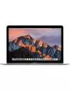 Ноутбук Apple MacBook 12 MNYH2 icon