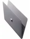 Ноутбук Apple MacBook MLH82 фото 9