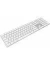 Клавиатура Apple Magic Keyboard (MQ052RS) фото 2