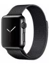 Умные часы Apple Watch 38mm Space Black with Space Black Milanese Loop (MMFK2) icon