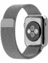 Умные часы Apple Watch 38mm Stainless Steel with Milanese Loop (MJ322) фото 4