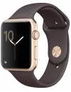 Умные часы Apple Watch 42mm Gold with Cocoa Sport Band (MNNN2) icon