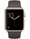Умные часы Apple Watch Series 2 42mm Gold with Cocoa Sport Band (MNPN2) фото 2