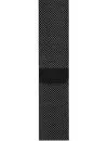 Умные часы Apple Watch Series 3 LTE 38mm Space Black Stainless Steel Case with Space Black Milanese Loop (MR1H2) фото 3