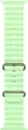 Умные часы Apple Watch Ultra 3 LTE 49 мм (титановый корпус, природный/салатовый, ремешок из эластомера) фото 3