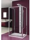 Душевая дверь Aquaform SALGADO Pivot Door 100 (103-06089) фото 2