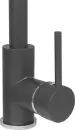 Смеситель Aquasanita Forte 5553 (графит) icon 5