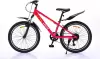 Велосипед Arena Flash 24 р.12 2026 (розовый) icon 2