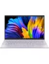 Ноутбук ASUS ZenBook 14 UM425UA-AM296 icon