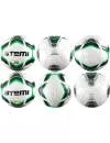 Мяч для мини-футбола Atemi Vega Futsal фото 2