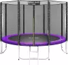 Батут Atlas Sport 312 см - 10ft Pro (с лестницей, внешняя сетка, сливовый) icon