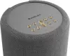 Беспроводная аудиосистема Audio Pro A10 MkII W (темно-серый) фото 3