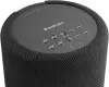Беспроводная аудиосистема Audio Pro A10 MkII W (черный) фото 3