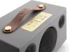 Беспроводная колонка Audio Pro C3 (серый) фото 5