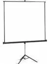 Проекционный экран Avers Tripod 18 MW 180x180 icon