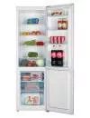 Холодильник AVEX RF-265C фото 2