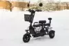Электросамокат AVM DELTA TRIKE icon 11