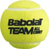 Набор теннисных мячей Babolat Team All Court (4 шт) icon