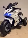 Детский электромотоцикл Baby Driver Ducati E003EE (белый) icon 6